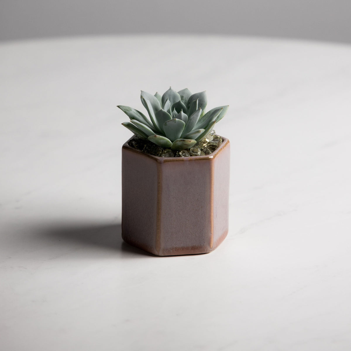 Tula Pot