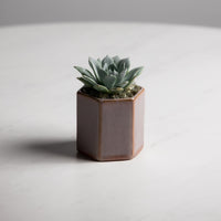 Tula Pot