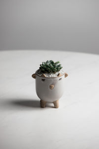 Little Lamb Pot