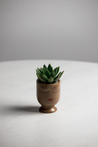 Tan Celfie Pot