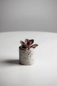 Terrazzo Pot