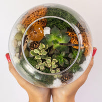 Fall Succulent Terrarium Kit
