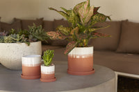 Hadley Pot