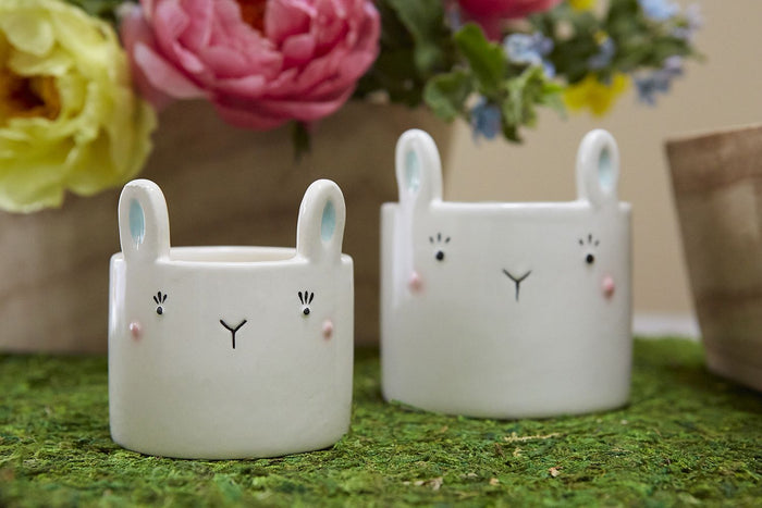 Hopz Pot