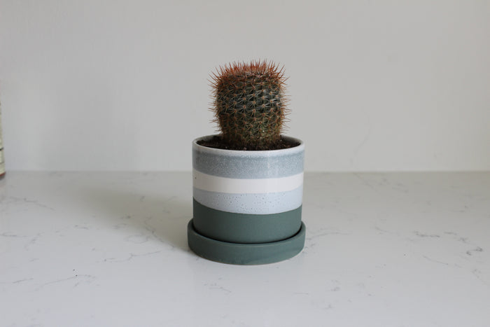 Greer Pot
