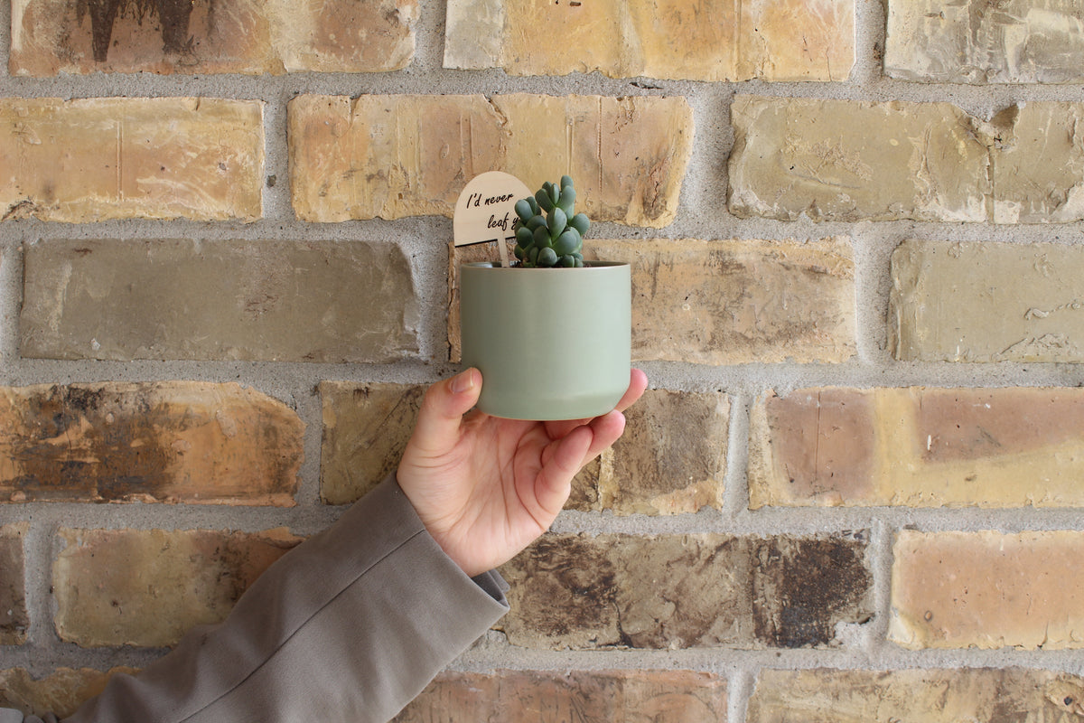 Kendall Pot