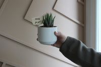 Kendall Pot