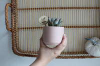 Kendall Pot