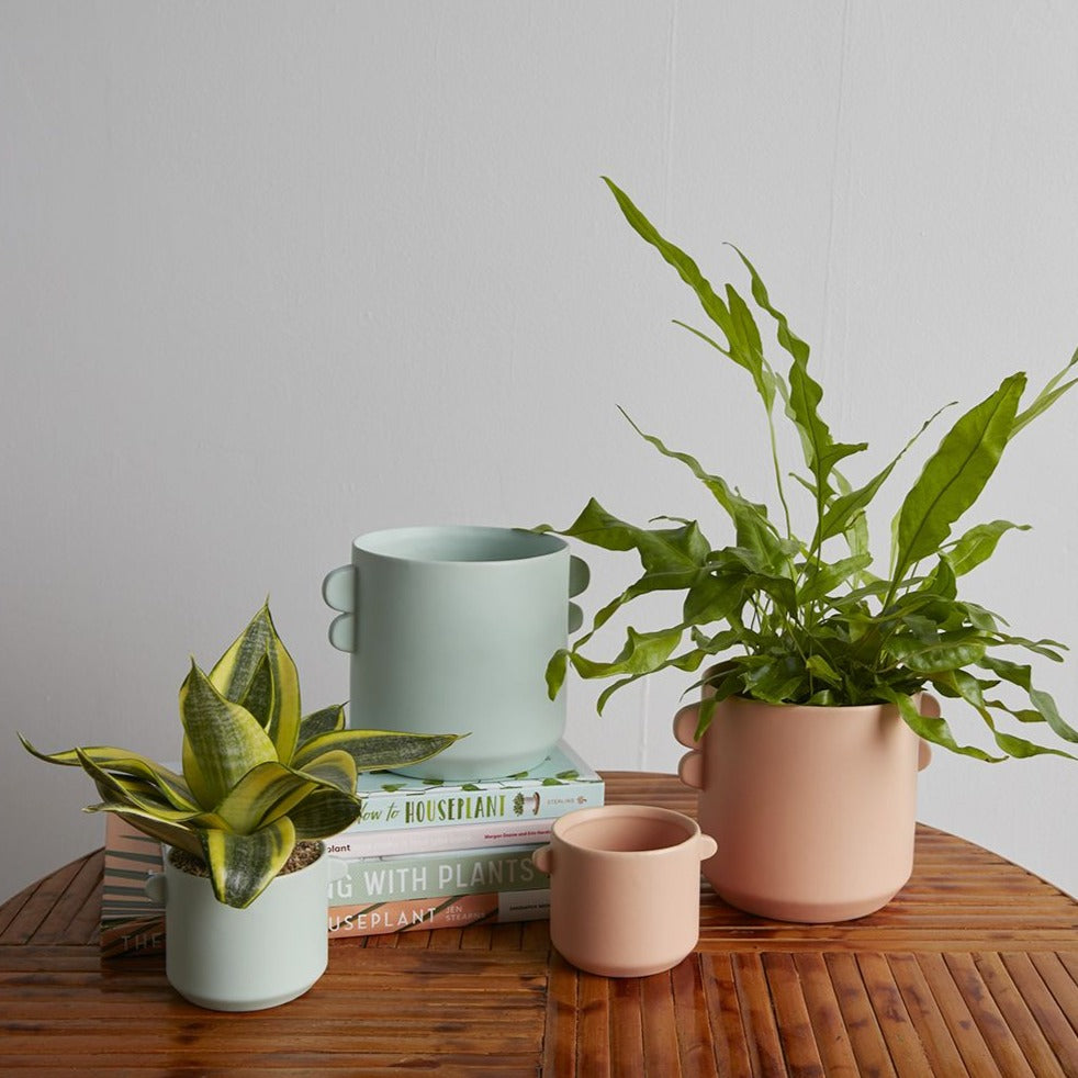 Jayme Pot