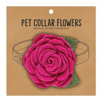 Pet Collar Flower