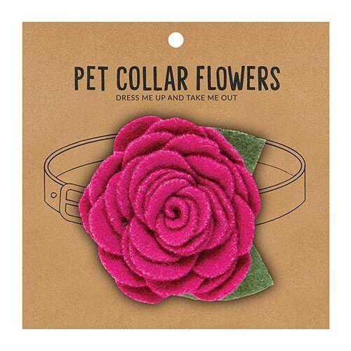 Pet Collar Flower