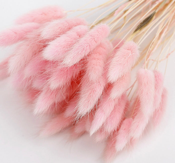 Pink Bunny Tails