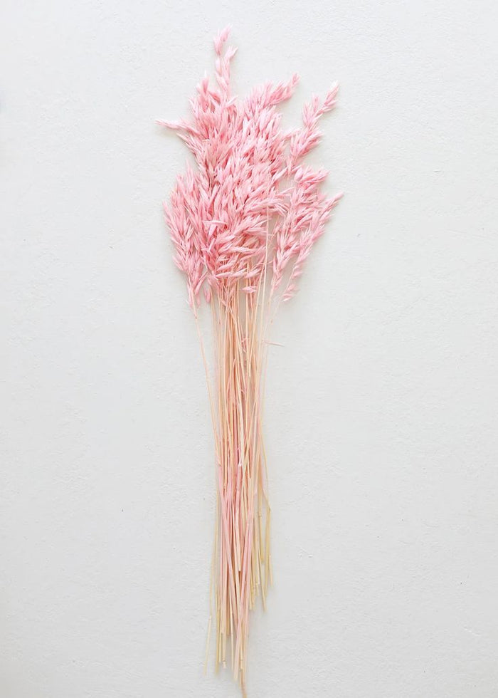 Pink Oats