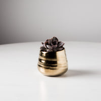 Gold Tegan Pot