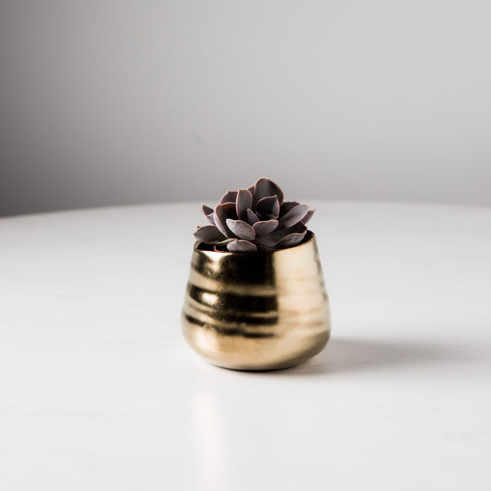 Gold Tegan Pot