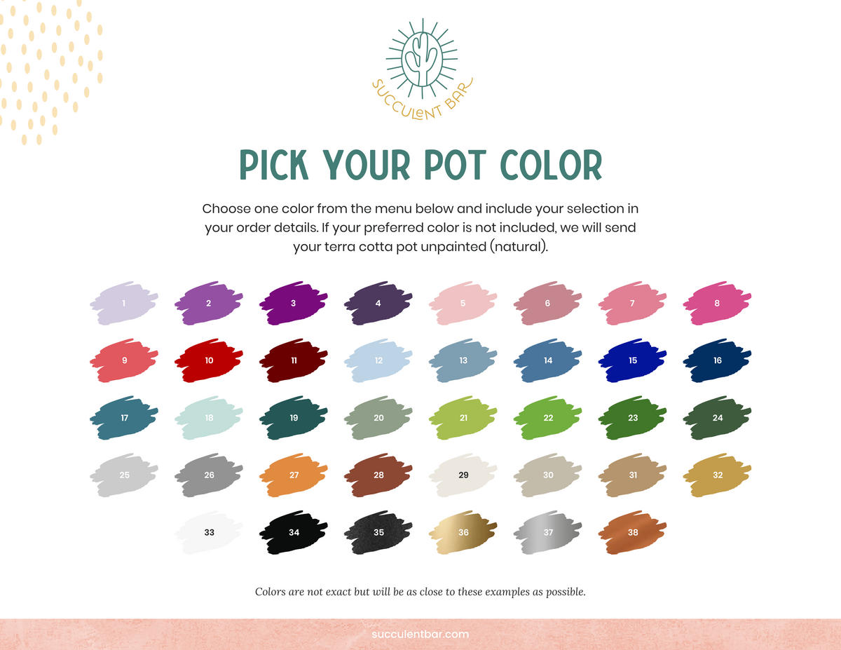 Pivot Gift Box