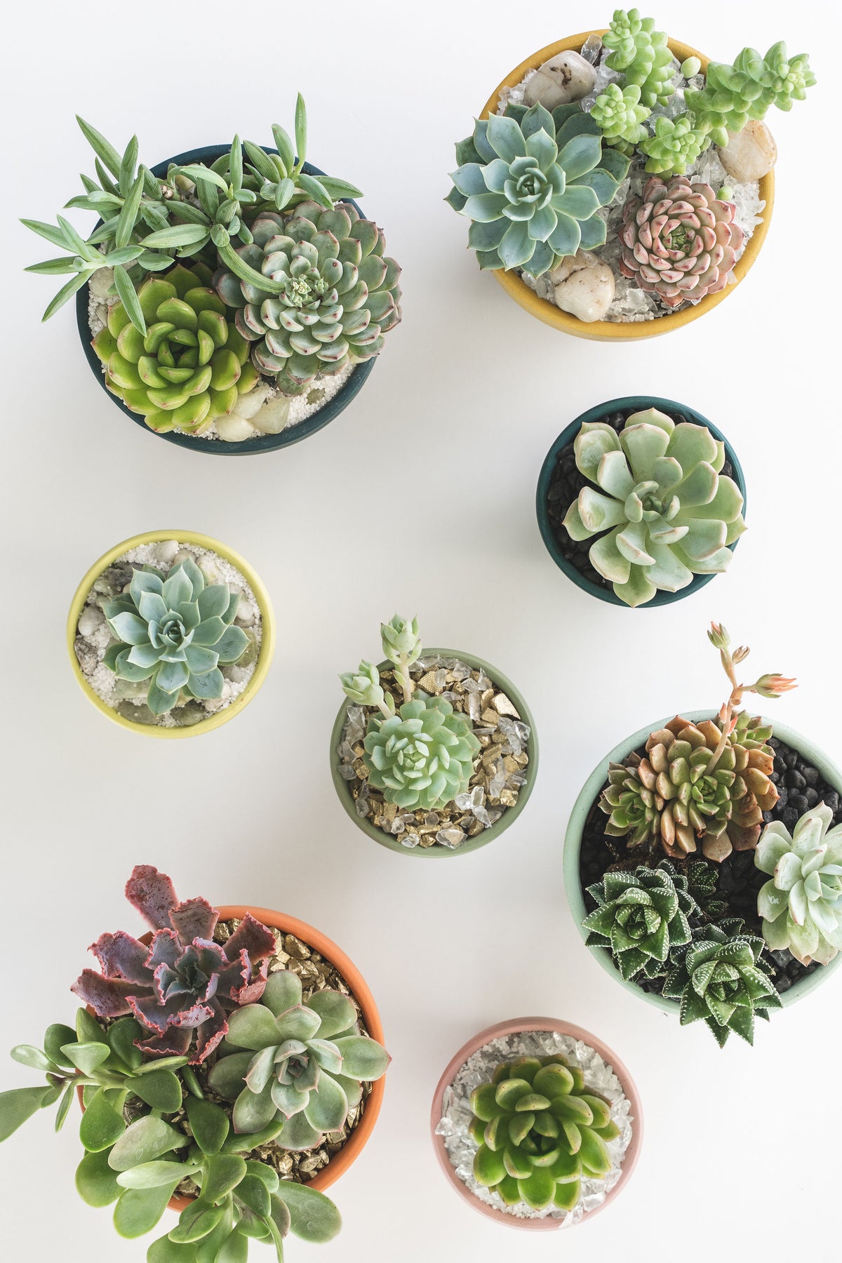 Modern Ceramic Arrangement