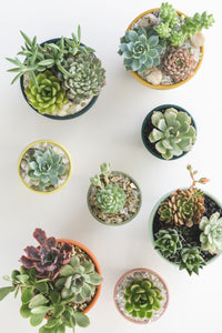 Modern Ceramic Arrangement