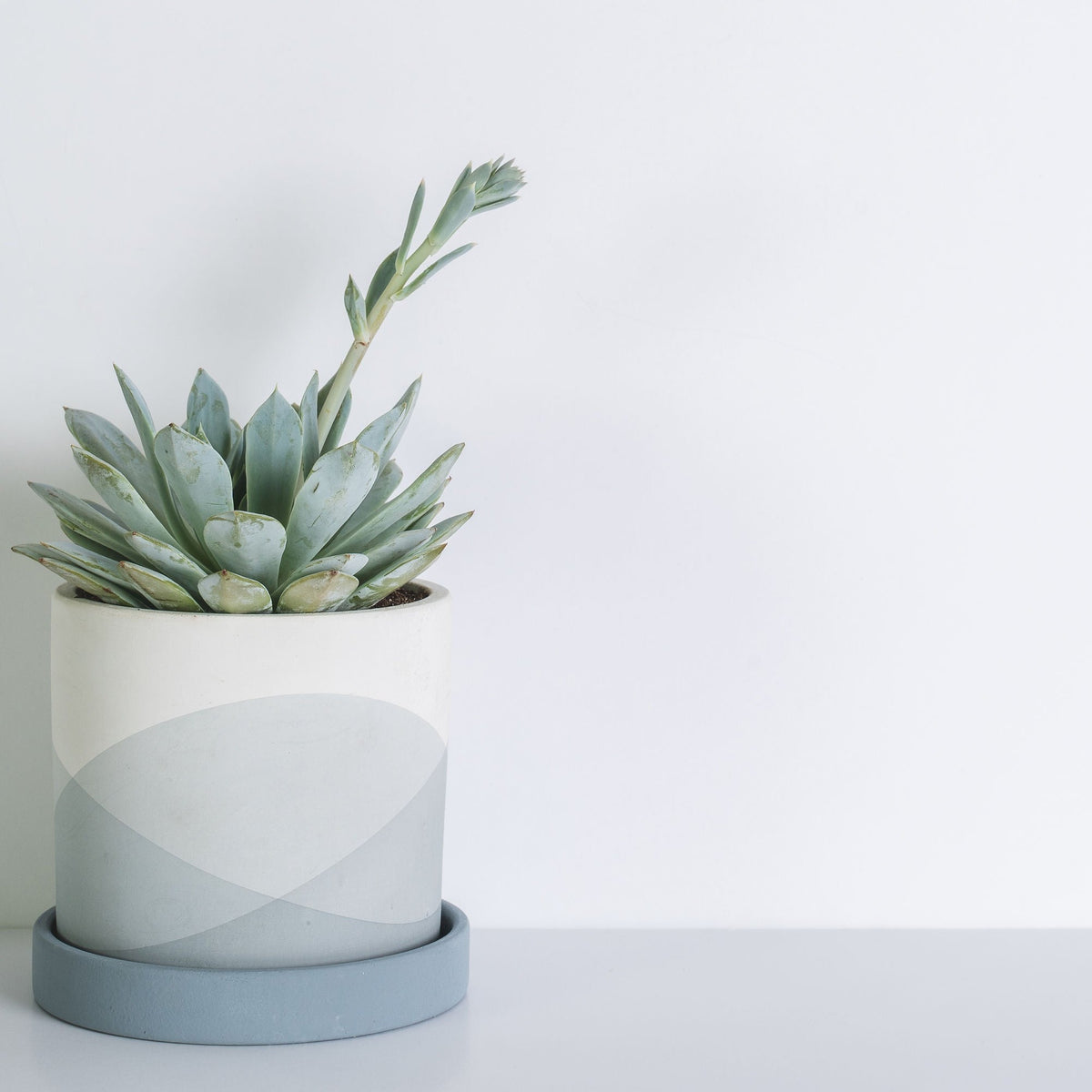 Keppel Pot