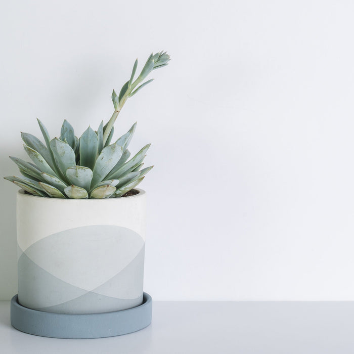 Keppel Pot