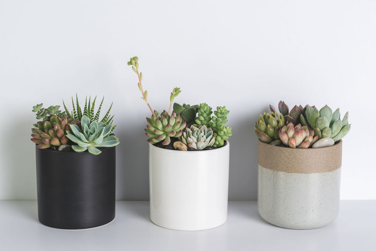 Modern Ceramic Arrangement