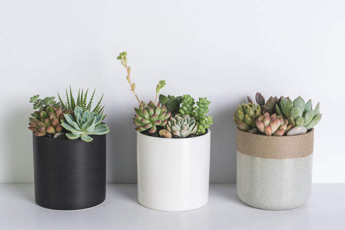 Modern Ceramic Arrangement