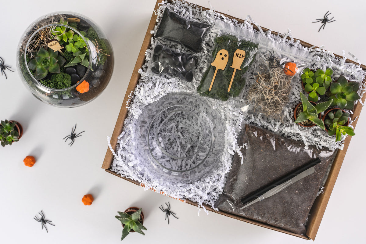 Spooky Succulent Terrarium Kit