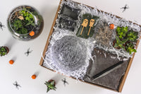 Spooky Succulent Terrarium Kit