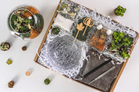 Fall Succulent Terrarium Kit