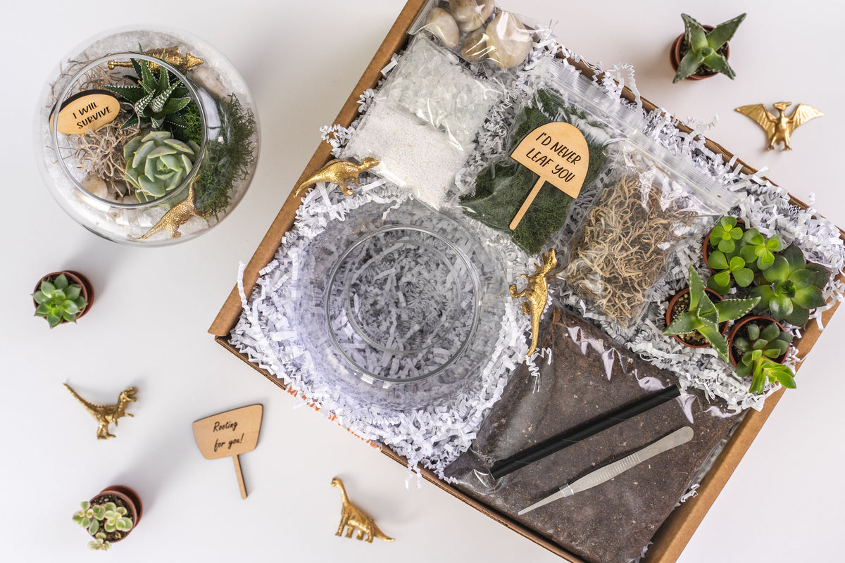 Inspirational Succulent Terrarium Kit