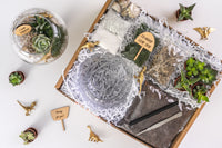 Inspirational Succulent Terrarium Kit