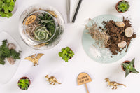 Inspirational Succulent Terrarium Kit