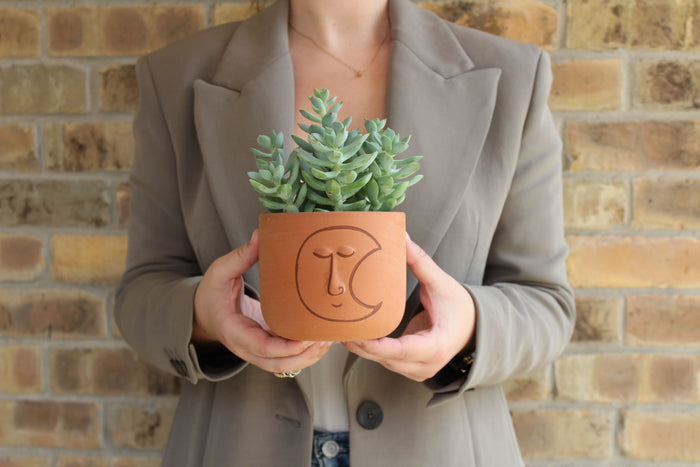 Soluna Pot