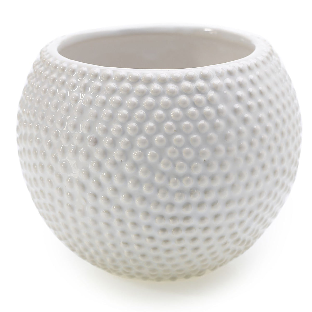 Spotti Pot