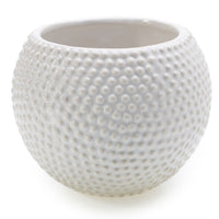 Spotti Pot