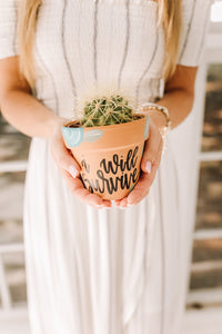 Hand Painted Pots