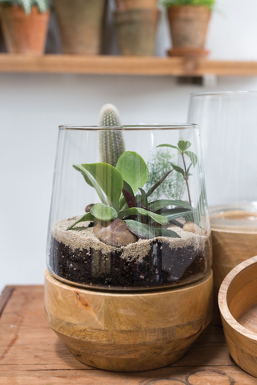Farmhouse Terrarium Arrangment