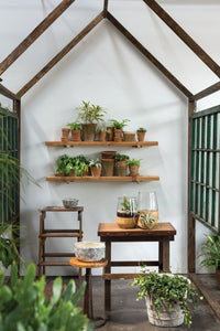 Farmhouse Terrarium Arrangment