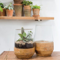 Farmhouse Terrarium Arrangment