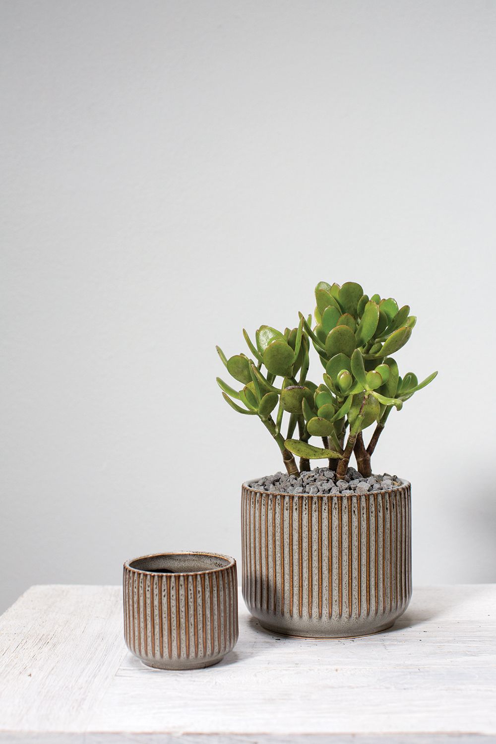 Habitat Pot