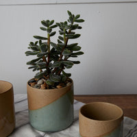 Marabella Pot