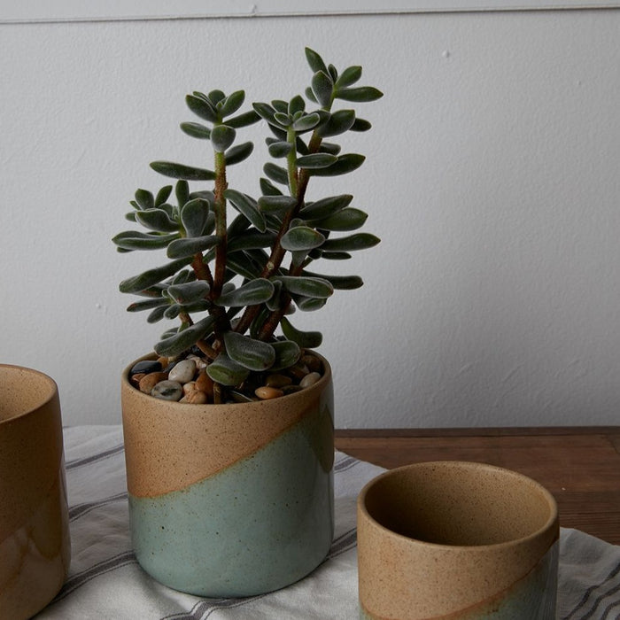 Marabella Pot