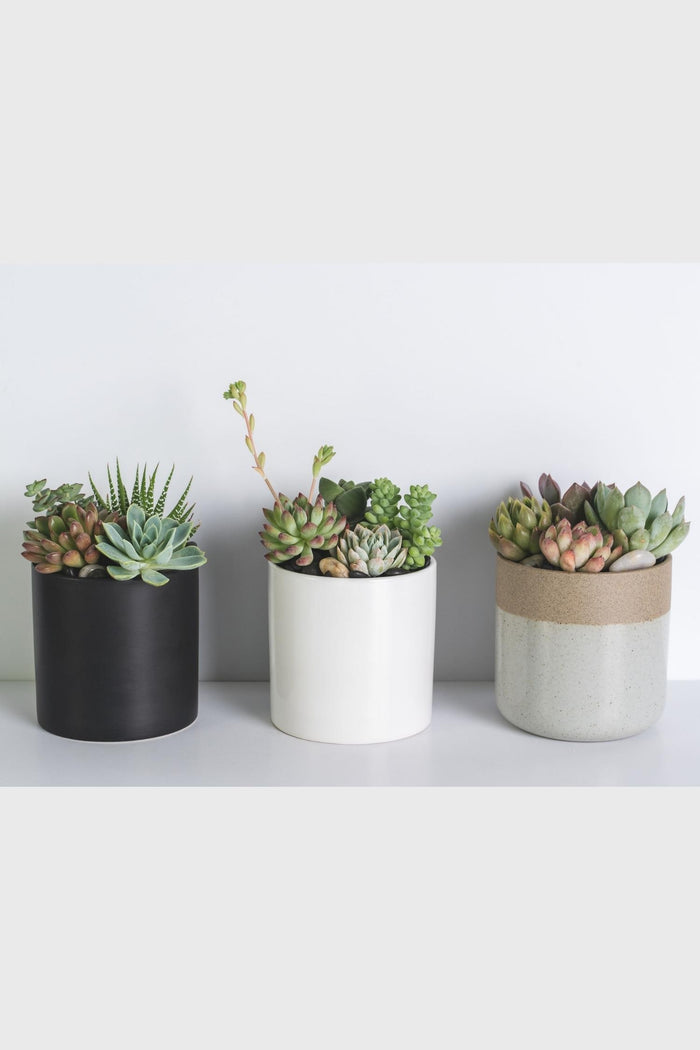 Modern Ceramic Arrangement