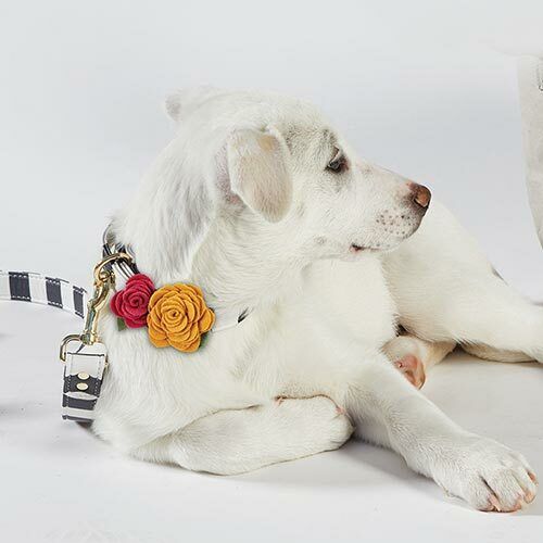 Pet Collar Flower