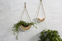 Rainbow Hanger Planter