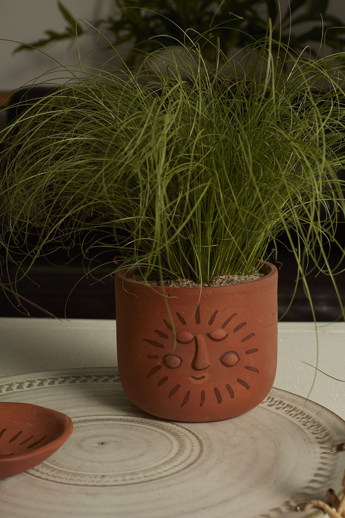 Soluna Pot