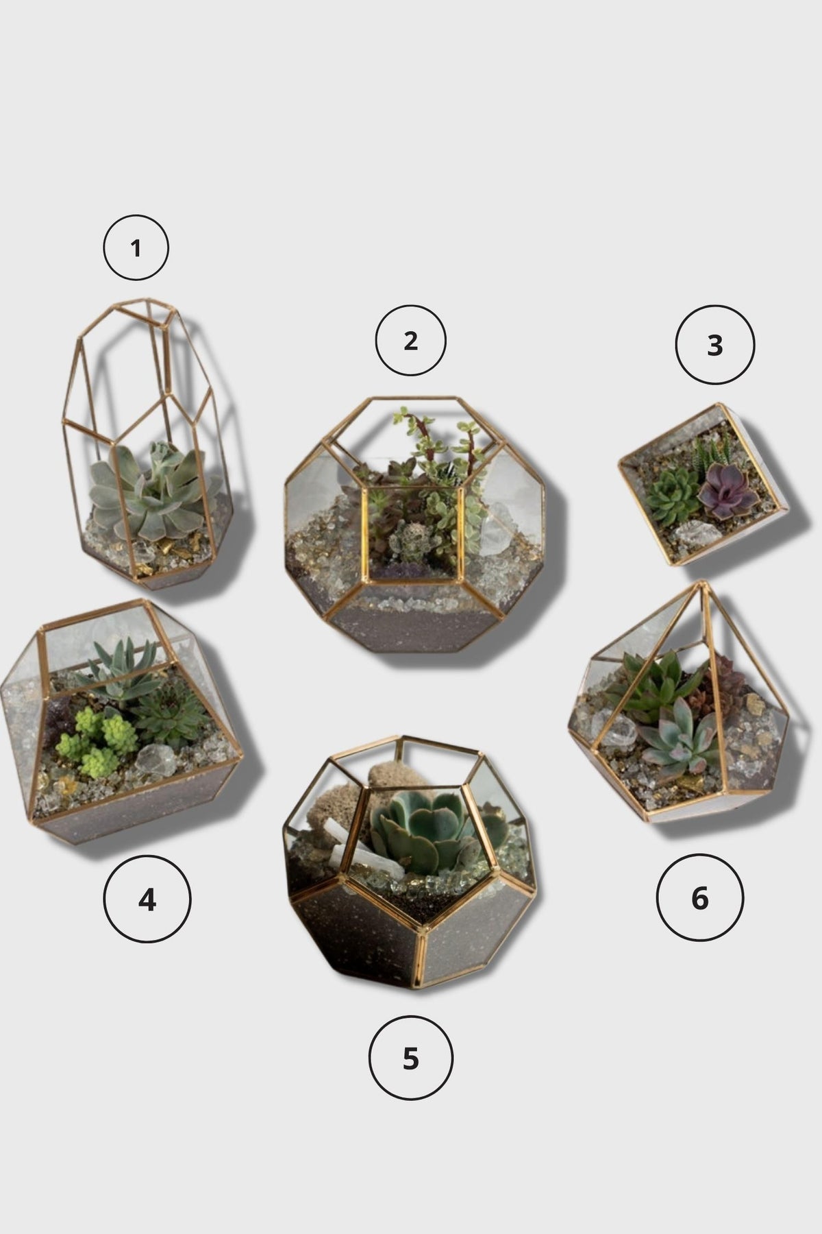 Glass Terrarium Arrangements