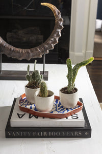 Tipper Pot Arrangement