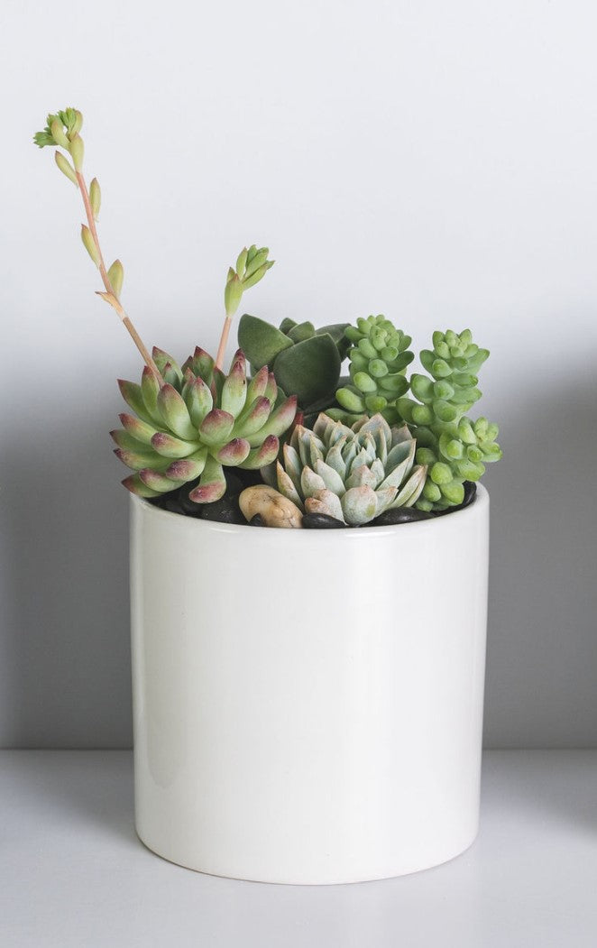 Modern Ceramic Arrangement
