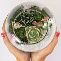 Winter Succulent Terrarium Kit